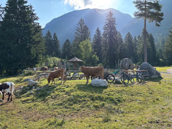 Spielplatz am Walderlebnispfad Farchant, Urlaub mit Kind in Garmisch-Partenkirchen