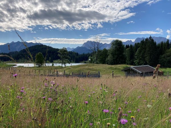 Geroldsee in blühenden Buckelwiesen mit Blick auf das Karwendelgebirge